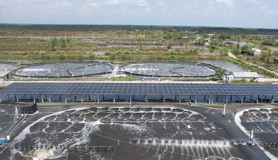 Pin mặt trời bám tải